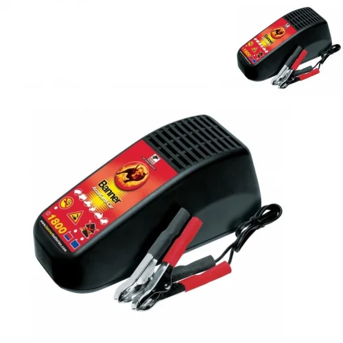 ŁADOWARKA BANNER ACCUGARD CAR